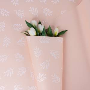 Пленка матовая "Веточки" пудра 57 см*10 м. / УТ-88053013