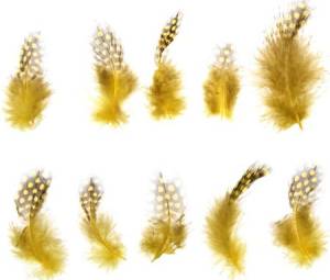 Набор перьев (желтые с коричневым) 10 шт. 1250972