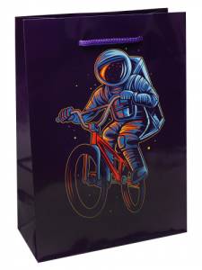 Пакет подарочный L/ПКП-3591 26,4*32,7*8 см с глянцевой ламинацией