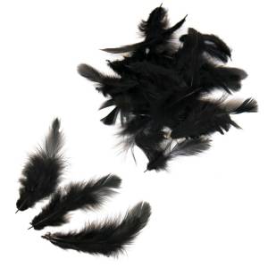 Набор перьев (черный) 8-10 см, 100 шт. / Ч18740