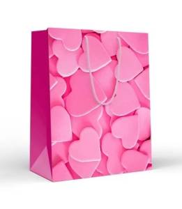 Пакет подарочный (L) 32,7*26 см/ 15.18.02255