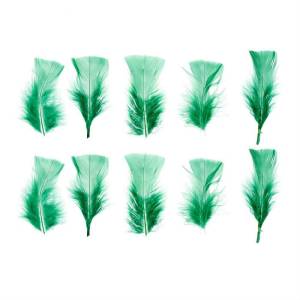 Набор перьев (светло-зеленый) 10 шт. 1250939