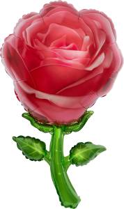 32" Роза красная / Китай 21729