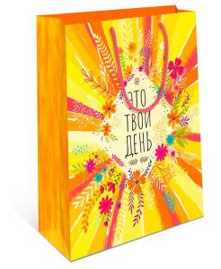 Сумка подар 0291.309