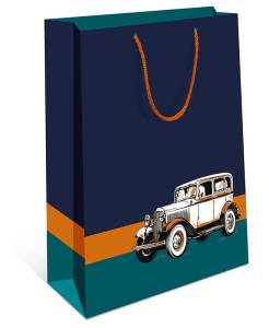 Сумка подар 0292.595/ 18*22*10см