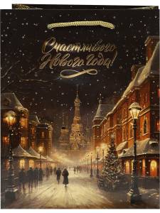 Пакет подарочный М/ПКП-6650 18*23*10 см 