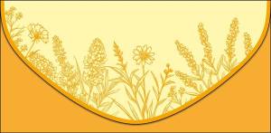 Открытка "А-Д" 0216.902