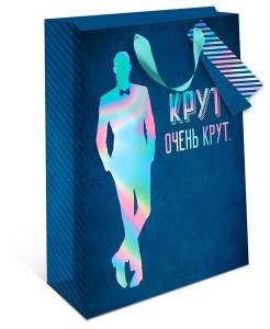 Пакет подарочный 18*22,3*10 см./ 0598.670