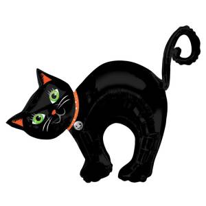 Котенок черный