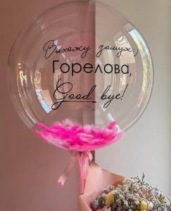 Баблс с надписью и перьями 24" (66 см) 22901