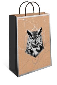 Пакет подарочный 18*22,3*10 см. / 0397.677