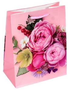 Сумка подар. 12/1039 / 23*18*10см