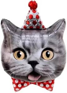 29" Котенок в колпачке / Китай 27753