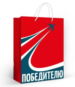 Пакет подарочный (МL) 31*22 см / 10000227