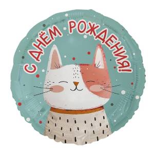 18" РУС ДР Котик рыжий с точками / Китай 1202-4352