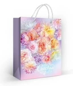 Пакет подарочный 18*13,5 см./ 9.0000835