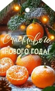 Бирка "Открытая планета" 9.0001161