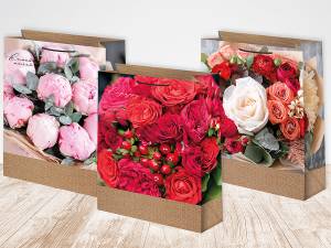 Пакет подарочный 22*31 см/ ч45476