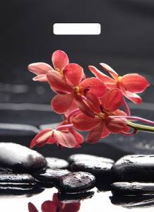 Пакет вырубной Гармония 40*31