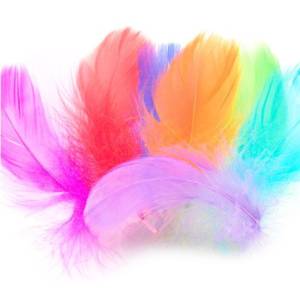 Перья ассорти Нежные (8-12 см) 30 шт. 