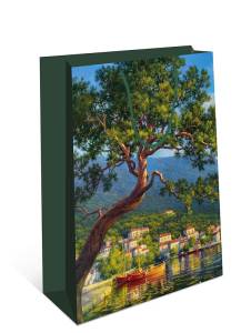 Пакет подарочный 33*42,5*10 см./ 0195.320