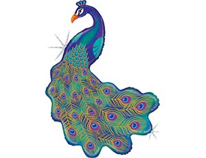 Павлин Блеск /1207-3464 Betallik