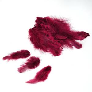 Набор перьев (бордовые) 8-10 см 100  шт. /ч18732