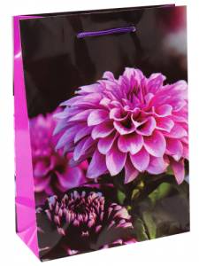 Пакет подарочный M/ППК-6294 18*23*8 см с ламинацией