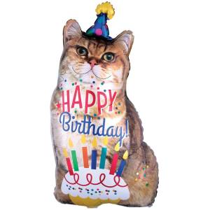 НВ Кот фотографичный (Анаграмм) / 1207-4456