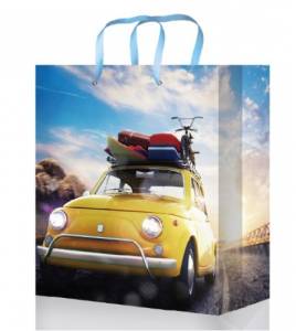 Пакет подарочный L 26.4*32.7*13.6 cм