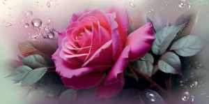 Конверт "Праздник" 5.0000049