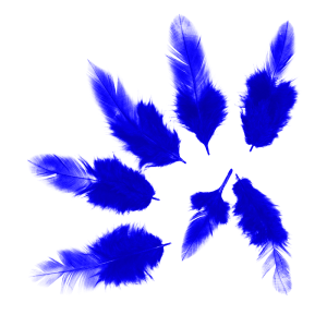 Набор перьев (синие) 50 шт./6014773