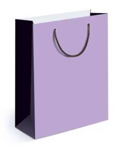 Сумка подар. 15,11,01314/ MS 13,5*18*6см