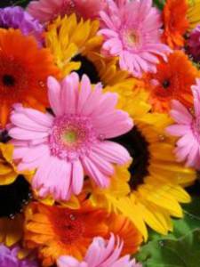 Пакет ламинат ML 