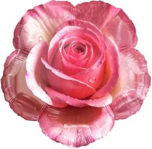 18" Утренняя роза / Китай 26939