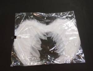 Крылья ангела 40*40-322175