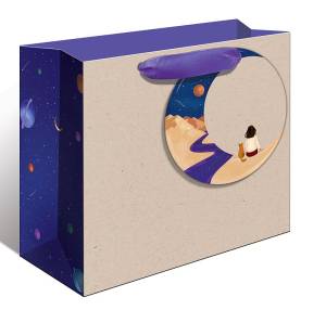 Пакет подарочный 23,5*21*12 см. / 0557.166