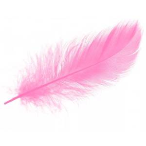 Перья Нежно-розовые (8-12 см) 30 шт. 