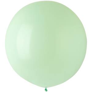 Э 24" Стандарт Macaron Honey Dew /1102-1918