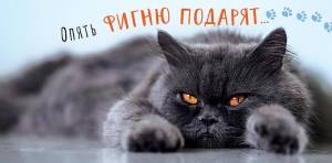 Открытка "А-Д" 0317.594