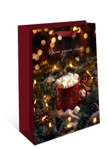 Пакет подарочный 18*22,3*10 см. / 1312.915