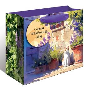 Пакет подарочный 23,5*21*12 см. / 0557.163