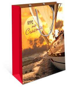 Сумка подар 0293.328