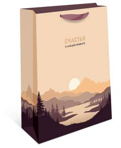 Пакет подарочный 23*26*12 см. / 2310.141