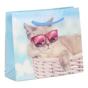 Пакет подарочный XXXL/ППК-7565 61*46*20 см