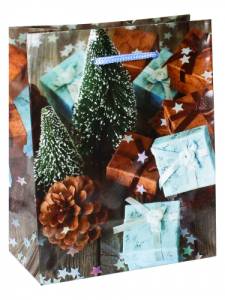 Пакет подарочный ПКП-6108 18*23*8 см с глянц. ламинацией 