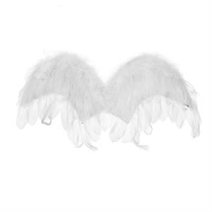 Крылья ангела 515303