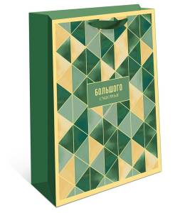 Пакет подарочный 18*22,3*10 см / 1598.248