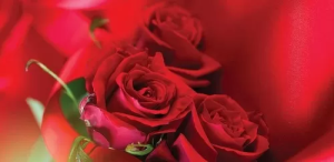 Конверт "Праздник" 2902122