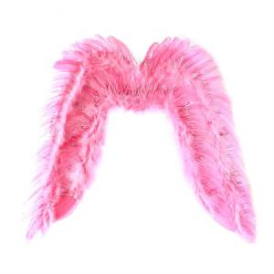 Крылья ангела 57*65